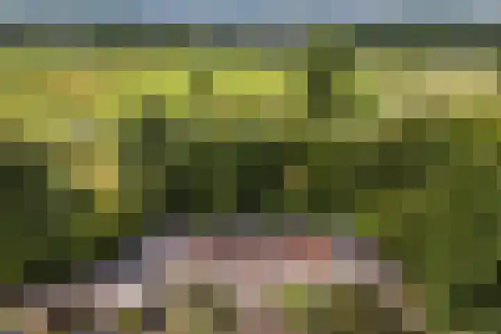 Paltrokmolen 35 Alkmaar thumbnail 5