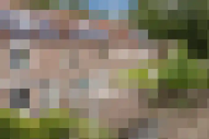 Paltrokmolen 35 Alkmaar thumbnail 6