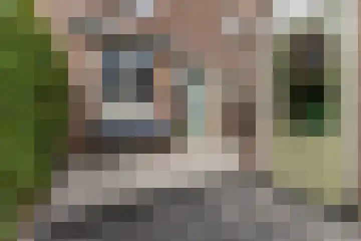Paltrokmolen 35 Alkmaar thumbnail 7