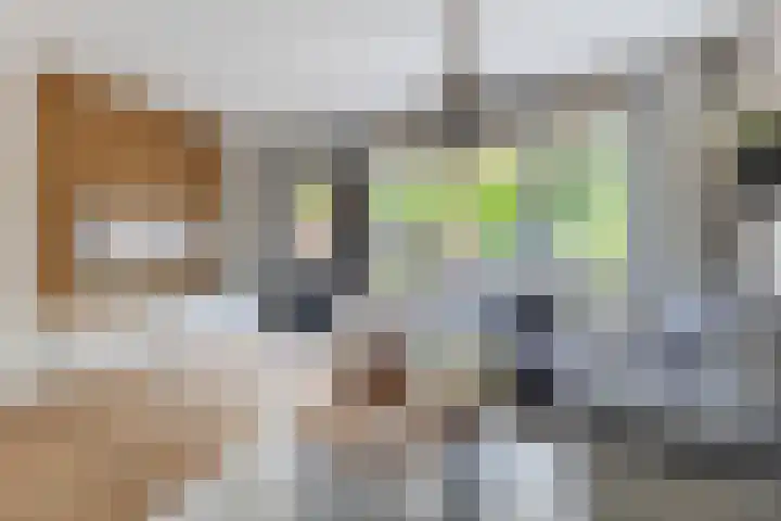 Paltrokmolen 35 Alkmaar thumbnail 9