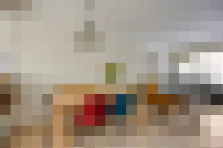 Paltrokmolen 36 Edam thumbnail 12