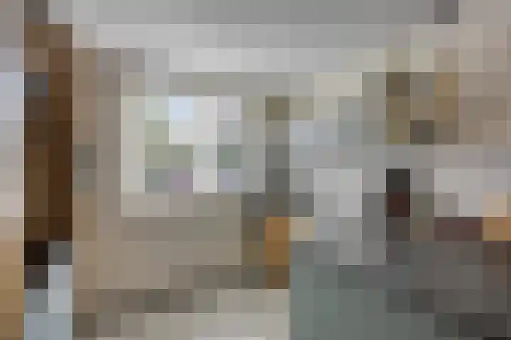Paltrokmolen 36 Edam thumbnail 13