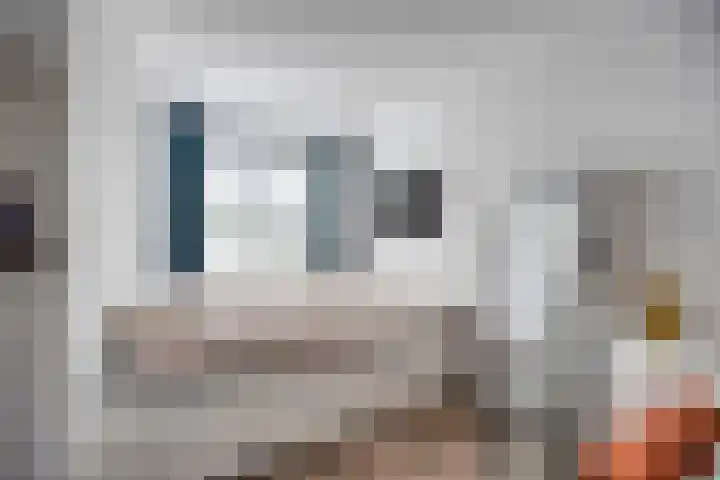 Paltrokmolen 36 Edam thumbnail 20