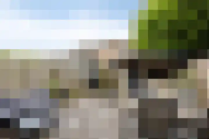 Paltrokmolen 36 Edam thumbnail 28