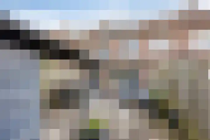 Paltrokmolen 36 Edam thumbnail 29