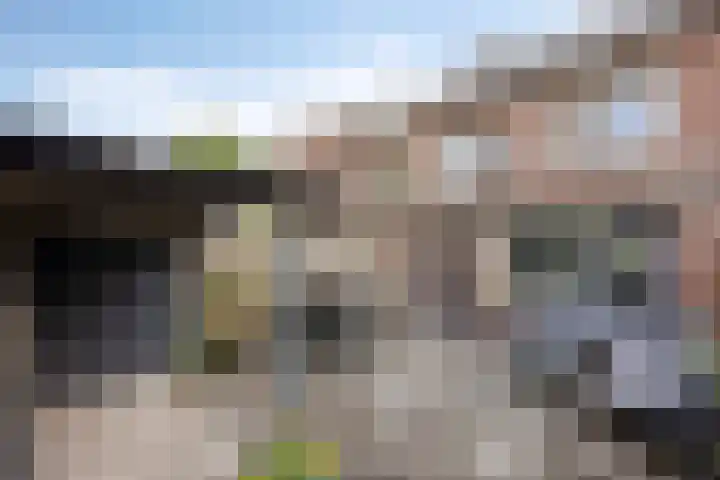Paltrokmolen 36 Edam thumbnail 30