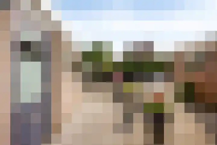 Paltrokmolen 36 Edam thumbnail 31