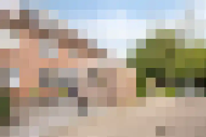 Paltrokmolen 36 Edam thumbnail 5