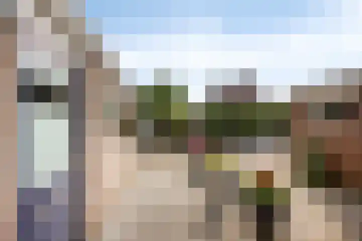 Paltrokmolen 36 Edam thumbnail 6