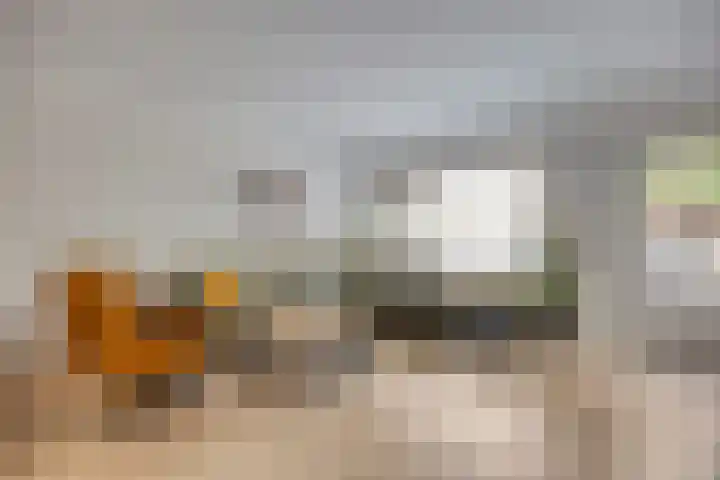 Paltrokmolen 36 Edam thumbnail 8