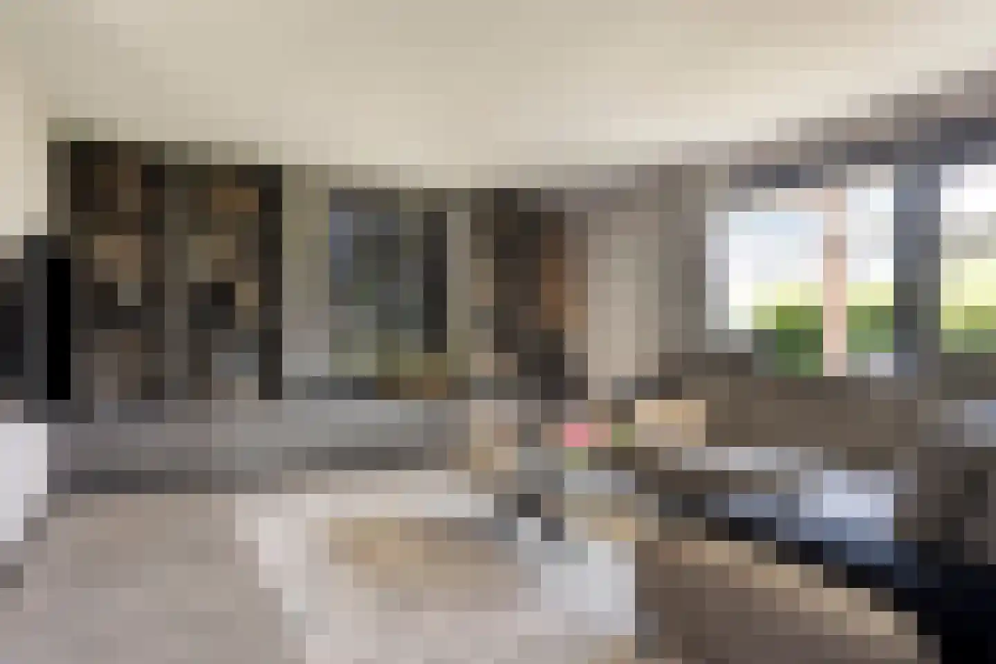 Paltrokmolen 4 Numansdorp thumbnail 14