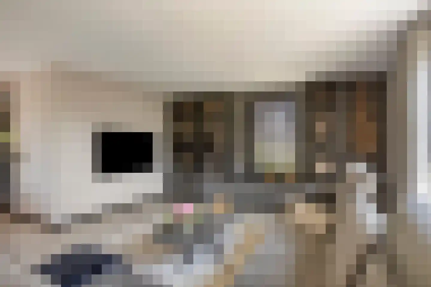 Paltrokmolen 4 Numansdorp thumbnail 16