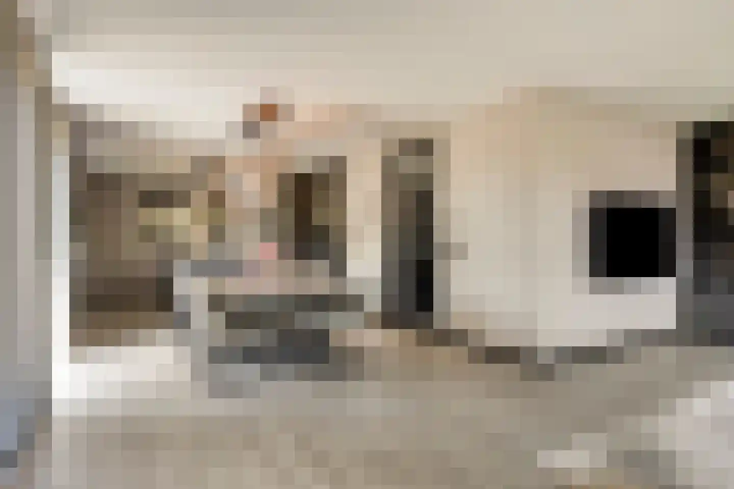 Paltrokmolen 4 Numansdorp thumbnail 17