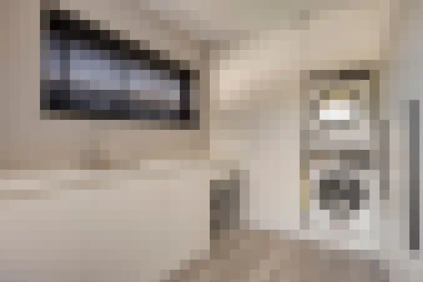 Paltrokmolen 4 Numansdorp thumbnail 24