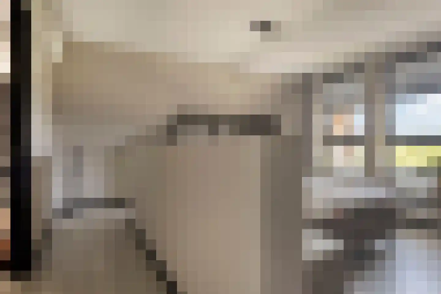 Paltrokmolen 4 Numansdorp thumbnail 29