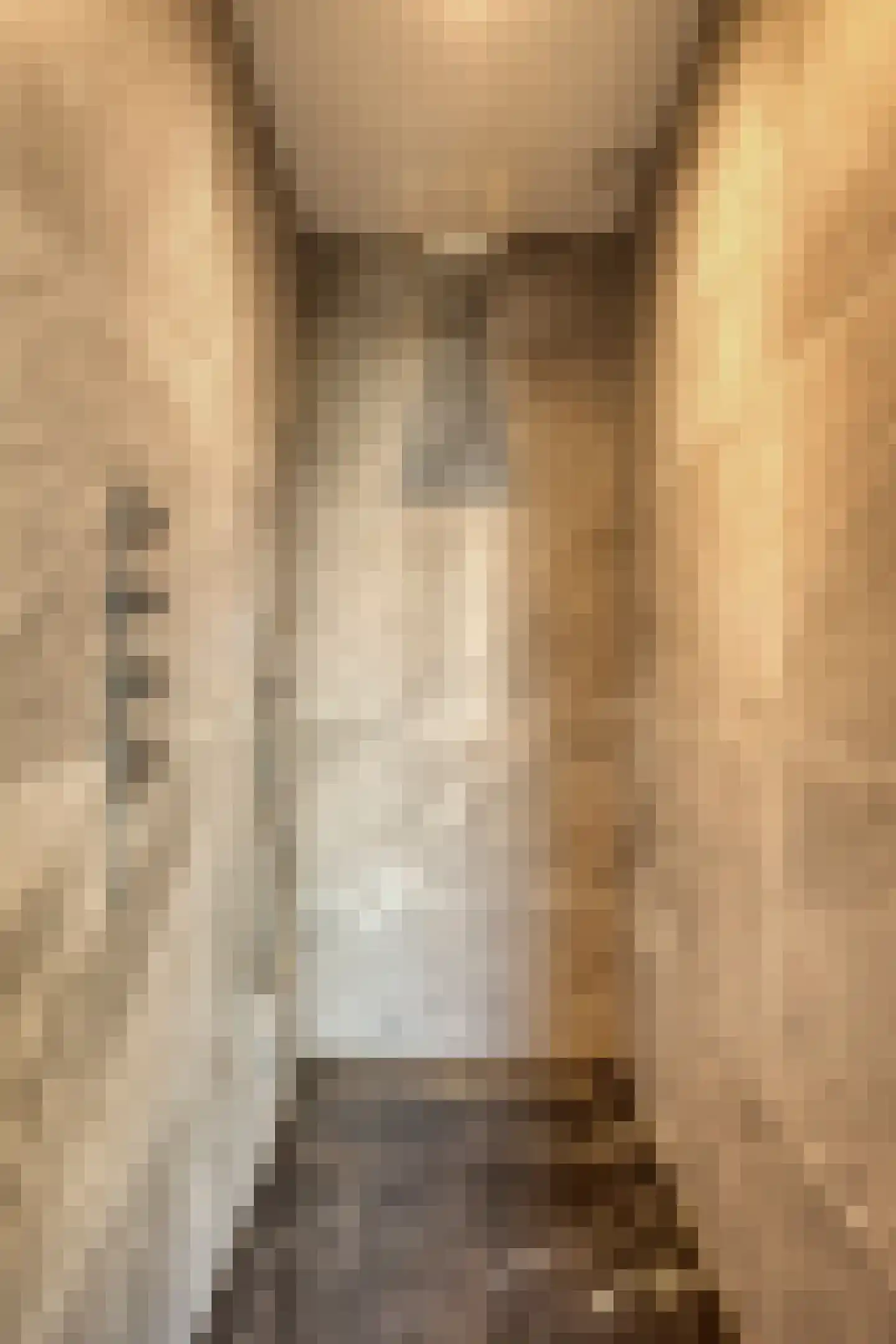 Paltrokmolen 4 Numansdorp thumbnail 34