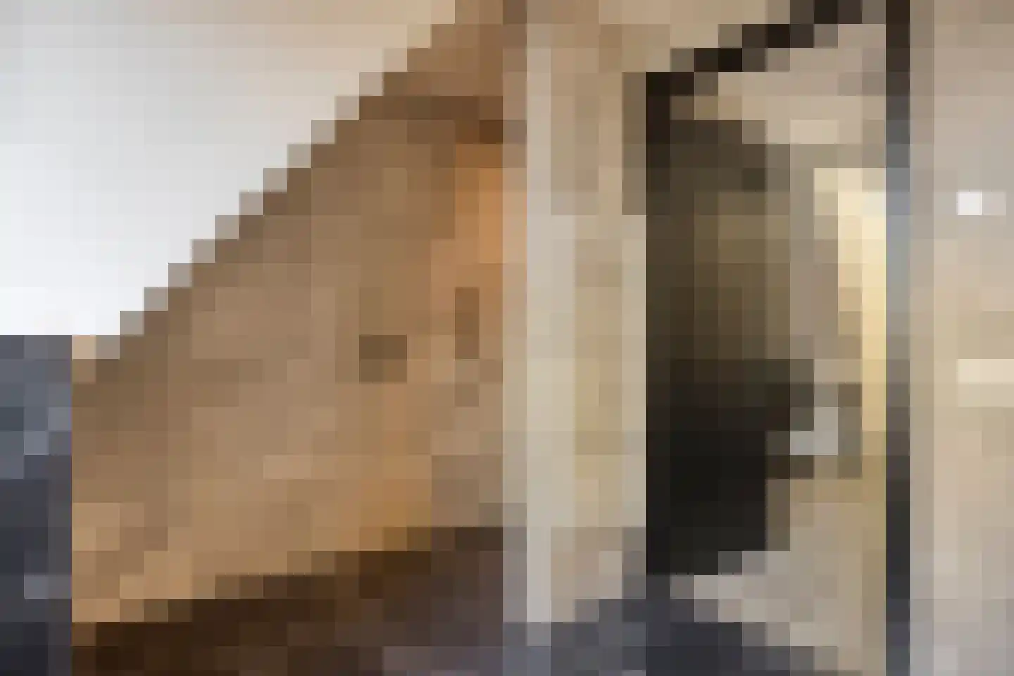 Paltrokmolen 4 Numansdorp thumbnail 35