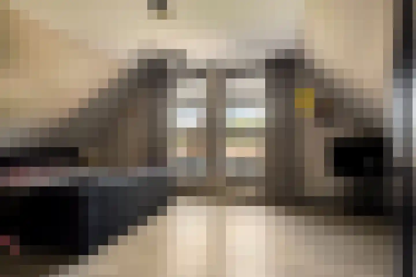 Paltrokmolen 4 Numansdorp thumbnail 36