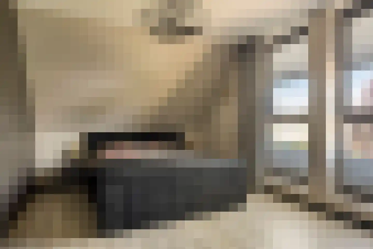 Paltrokmolen 4 Numansdorp thumbnail 37