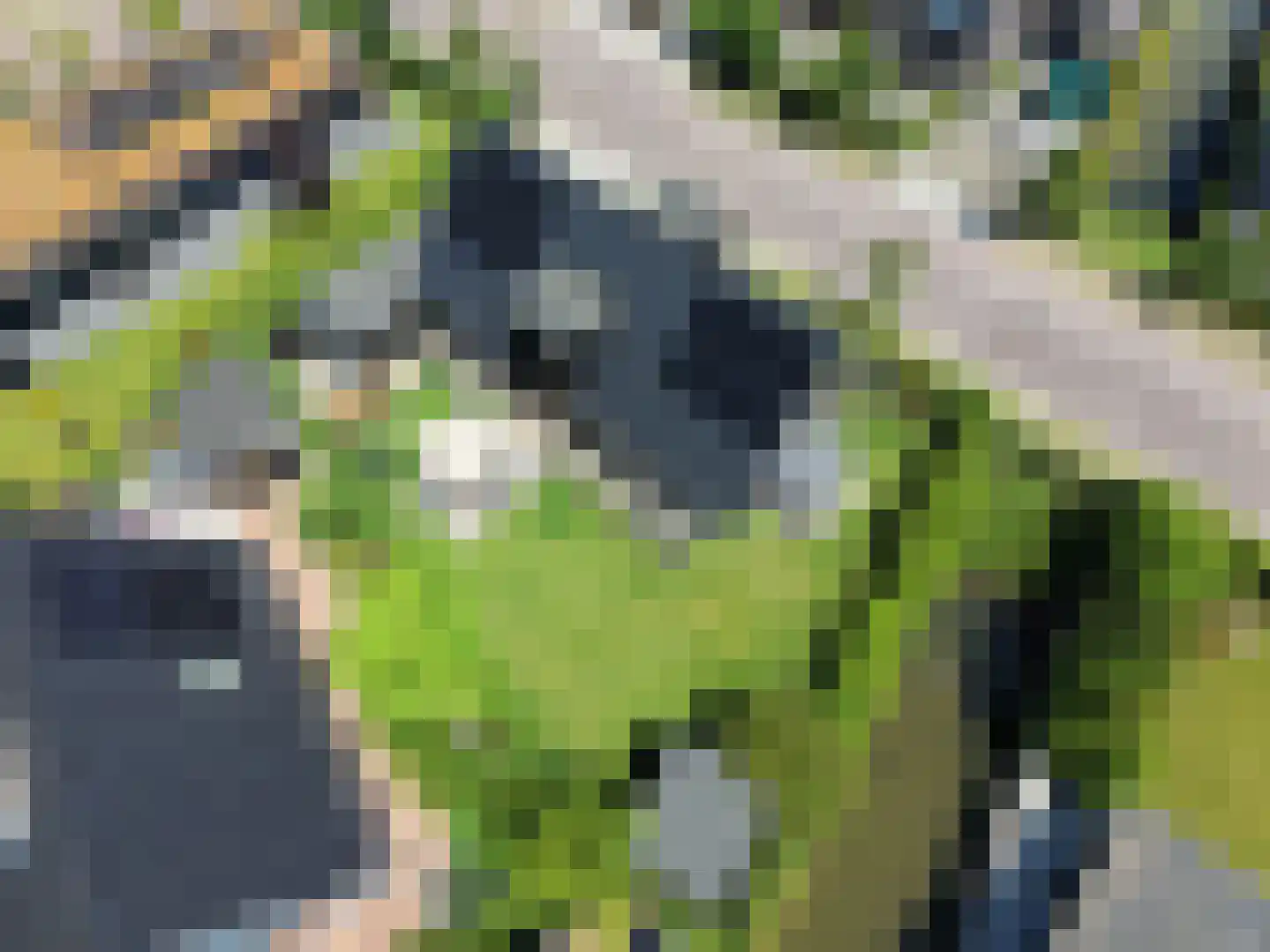 Paltrokmolen 4 Numansdorp thumbnail 4
