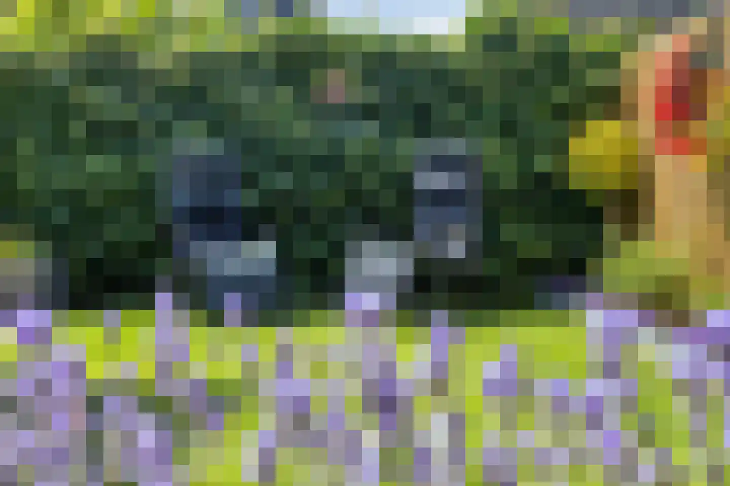 Paltrokmolen 4 Numansdorp thumbnail 41