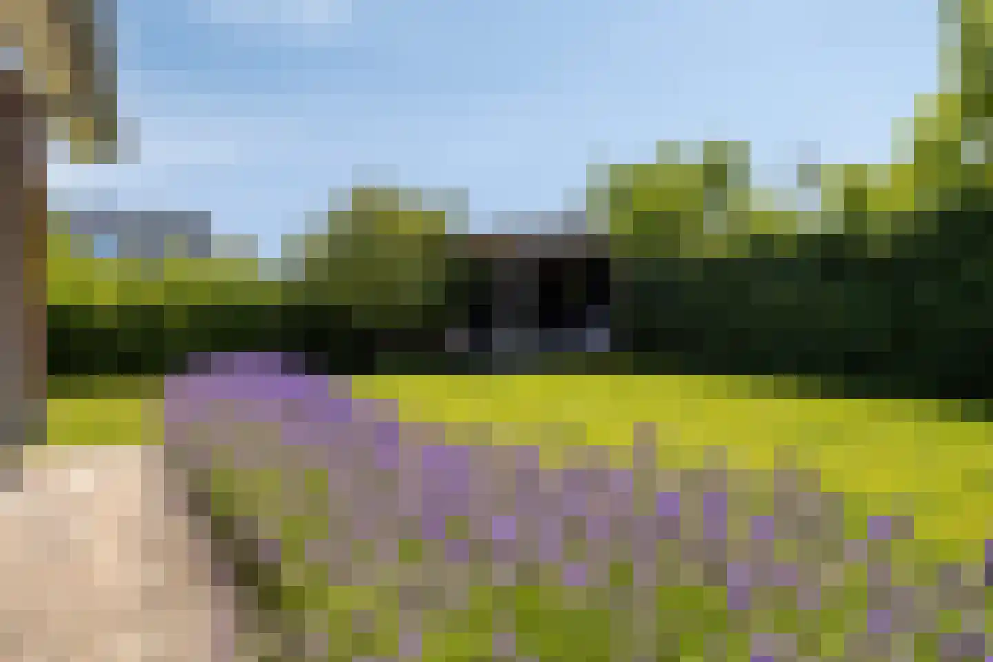 Paltrokmolen 4 Numansdorp thumbnail 42