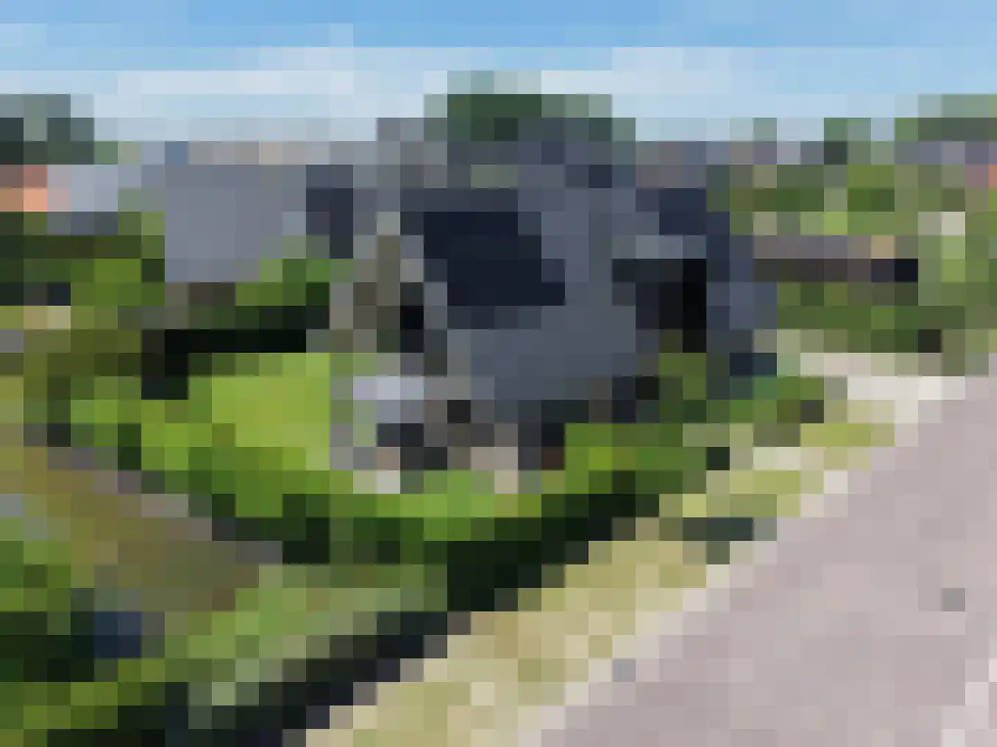 Paltrokmolen 4 Numansdorp thumbnail 48