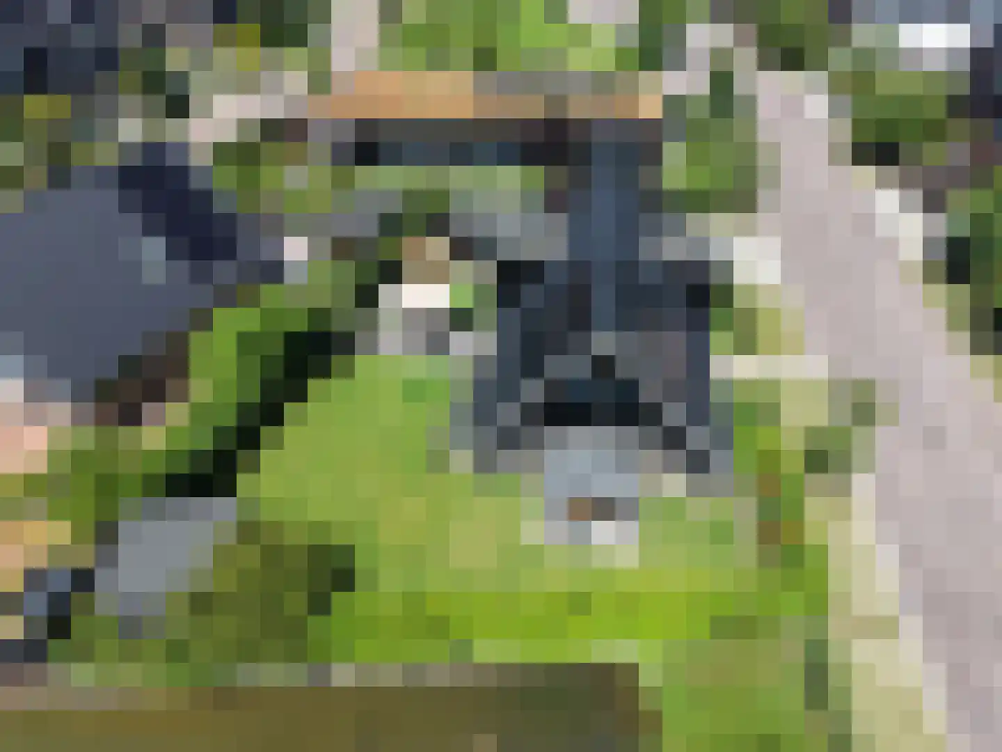 Paltrokmolen 4 Numansdorp thumbnail 5