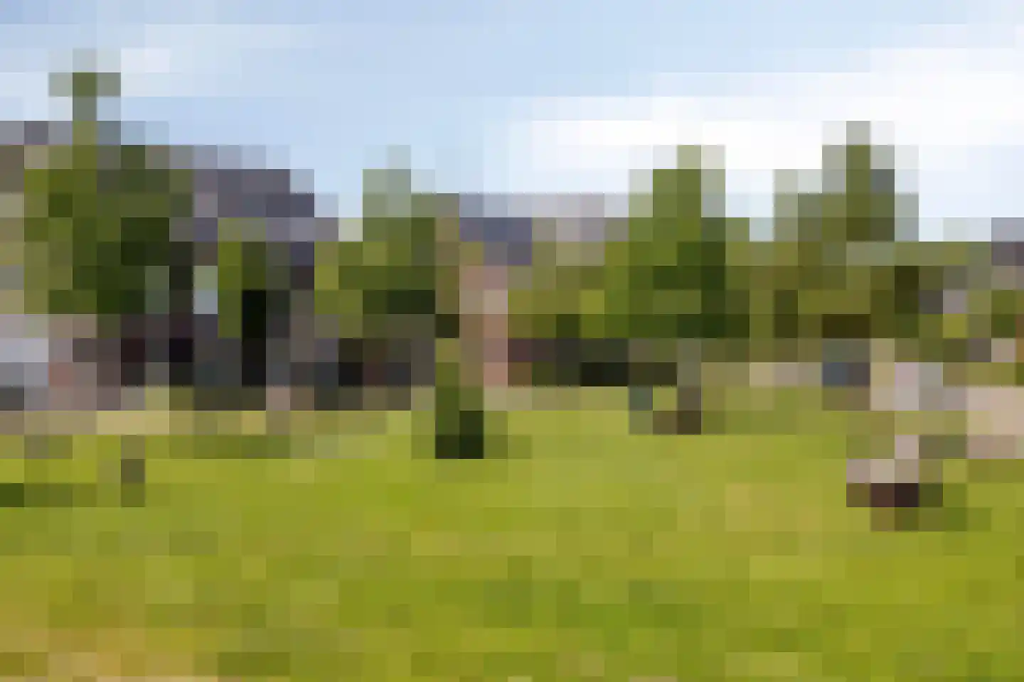 Paltrokmolen 4 Numansdorp thumbnail 50