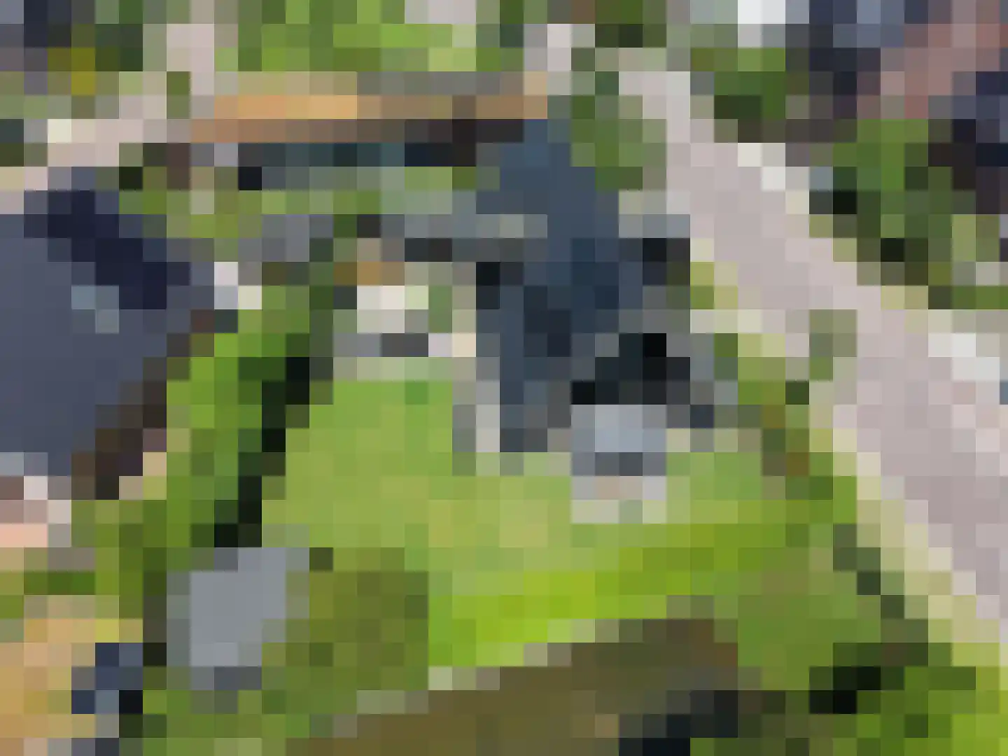 Paltrokmolen 4 Numansdorp thumbnail 51