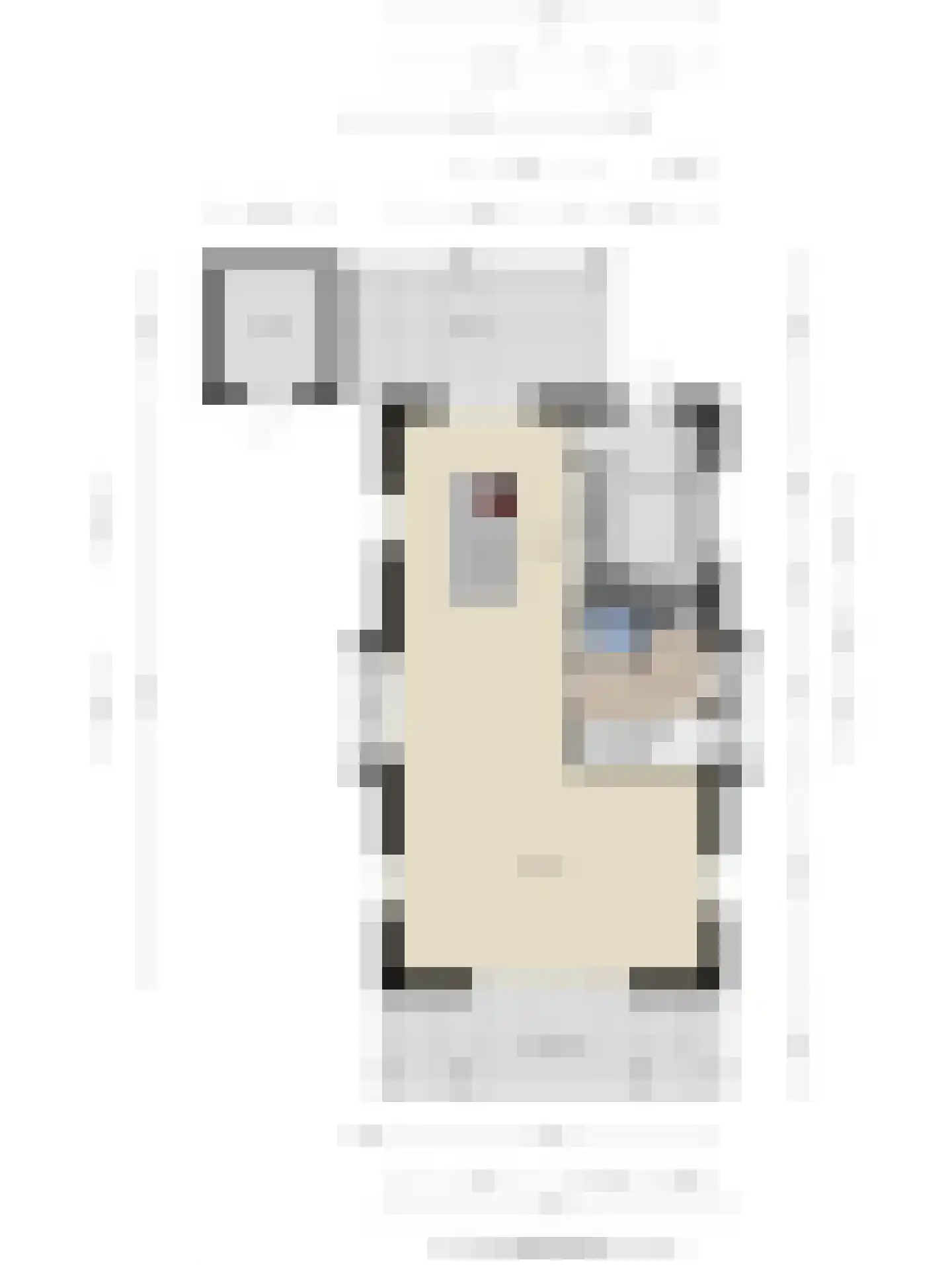 Paltrokmolen 4 Numansdorp thumbnail 52