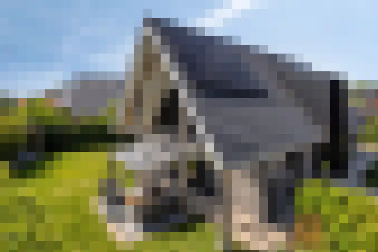 Paltrokmolen 4 Numansdorp thumbnail 9
