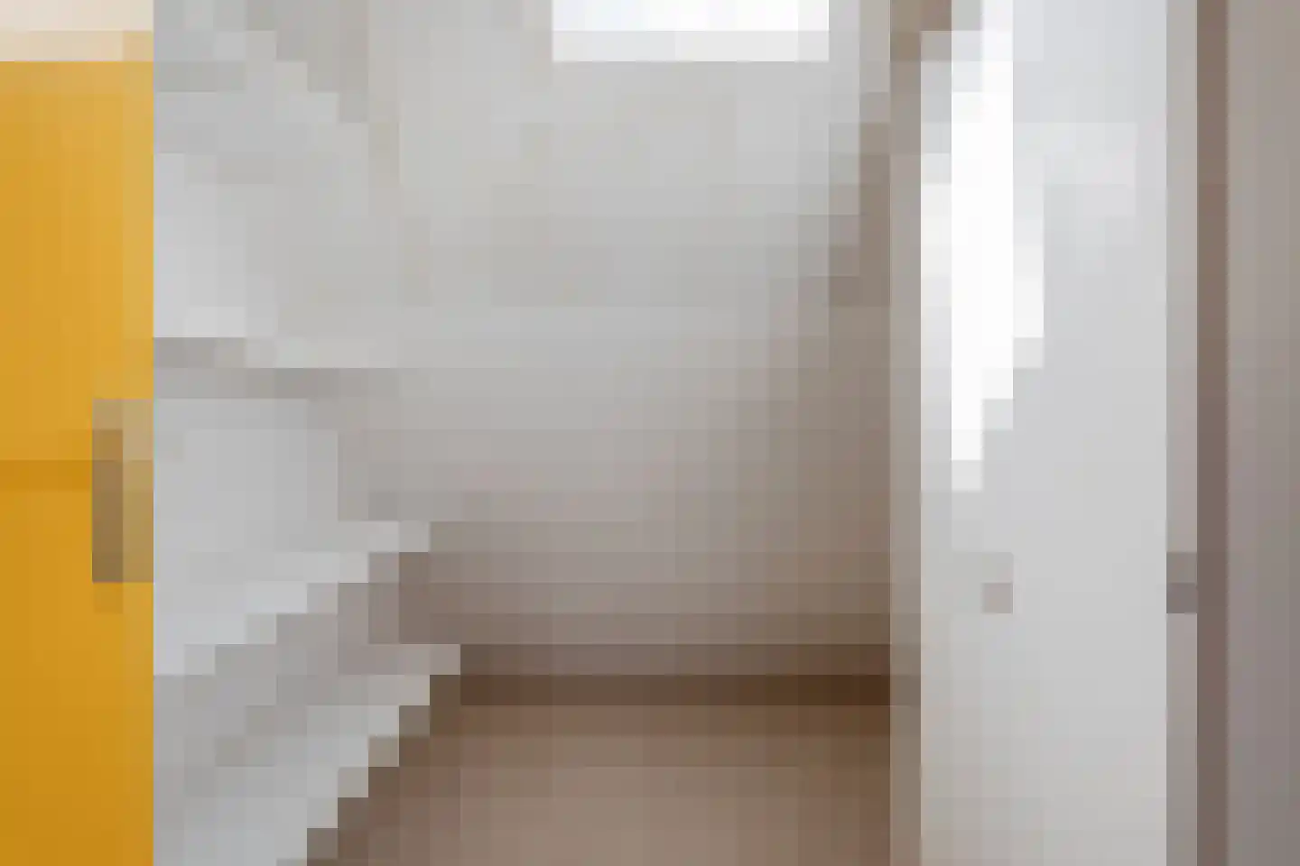 Paltrokmolen 40 Edam thumbnail 32