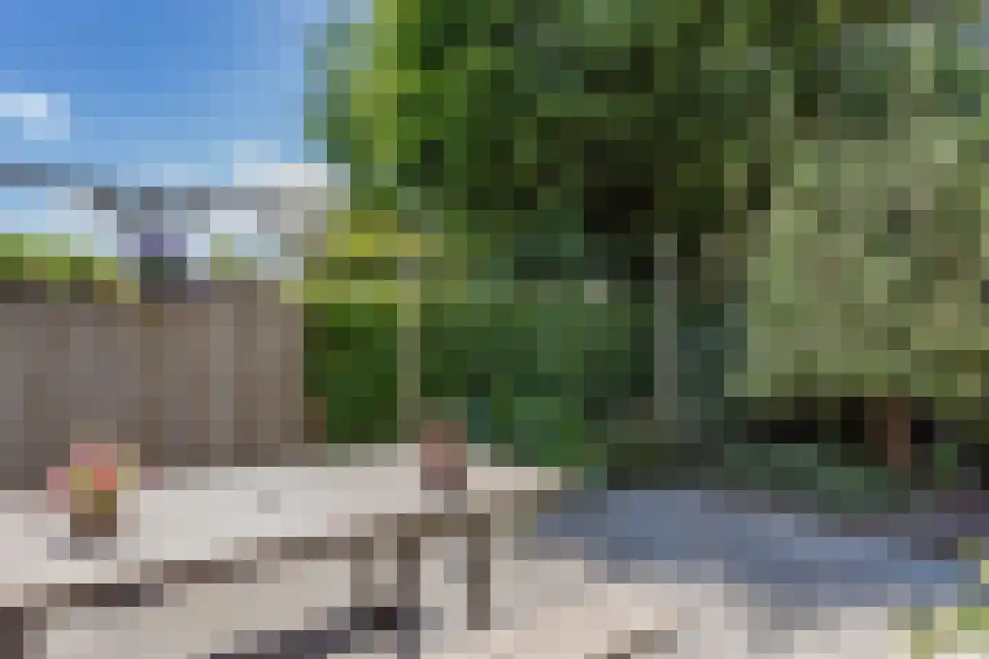 Paltrokmolen 40 Edam thumbnail 36