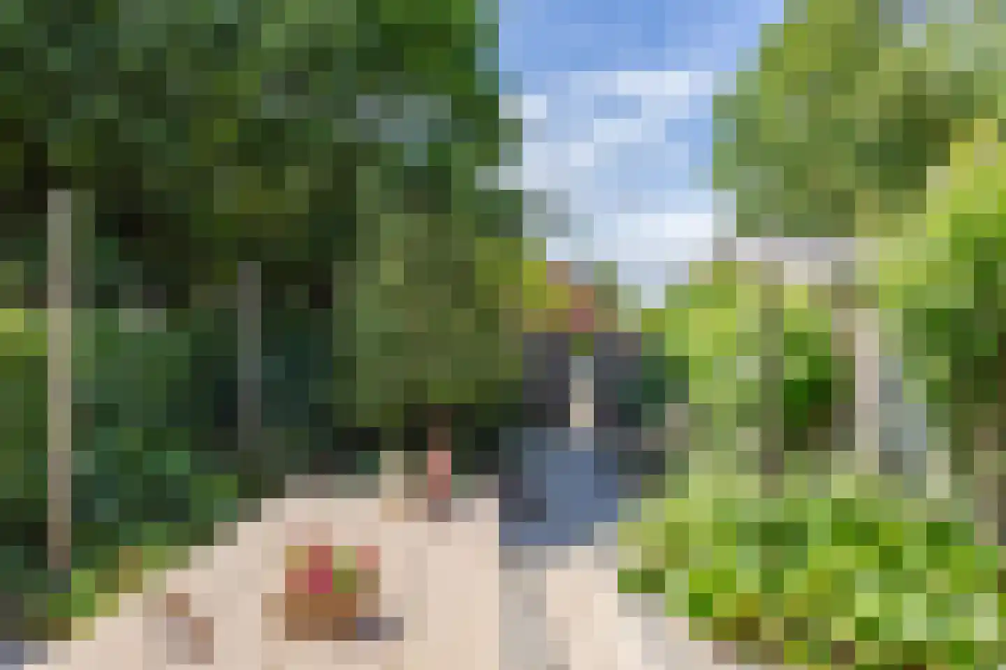 Paltrokmolen 40 Edam thumbnail 38