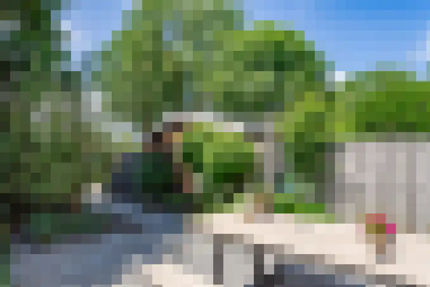 Paltrokmolen 40 Edam thumbnail 39