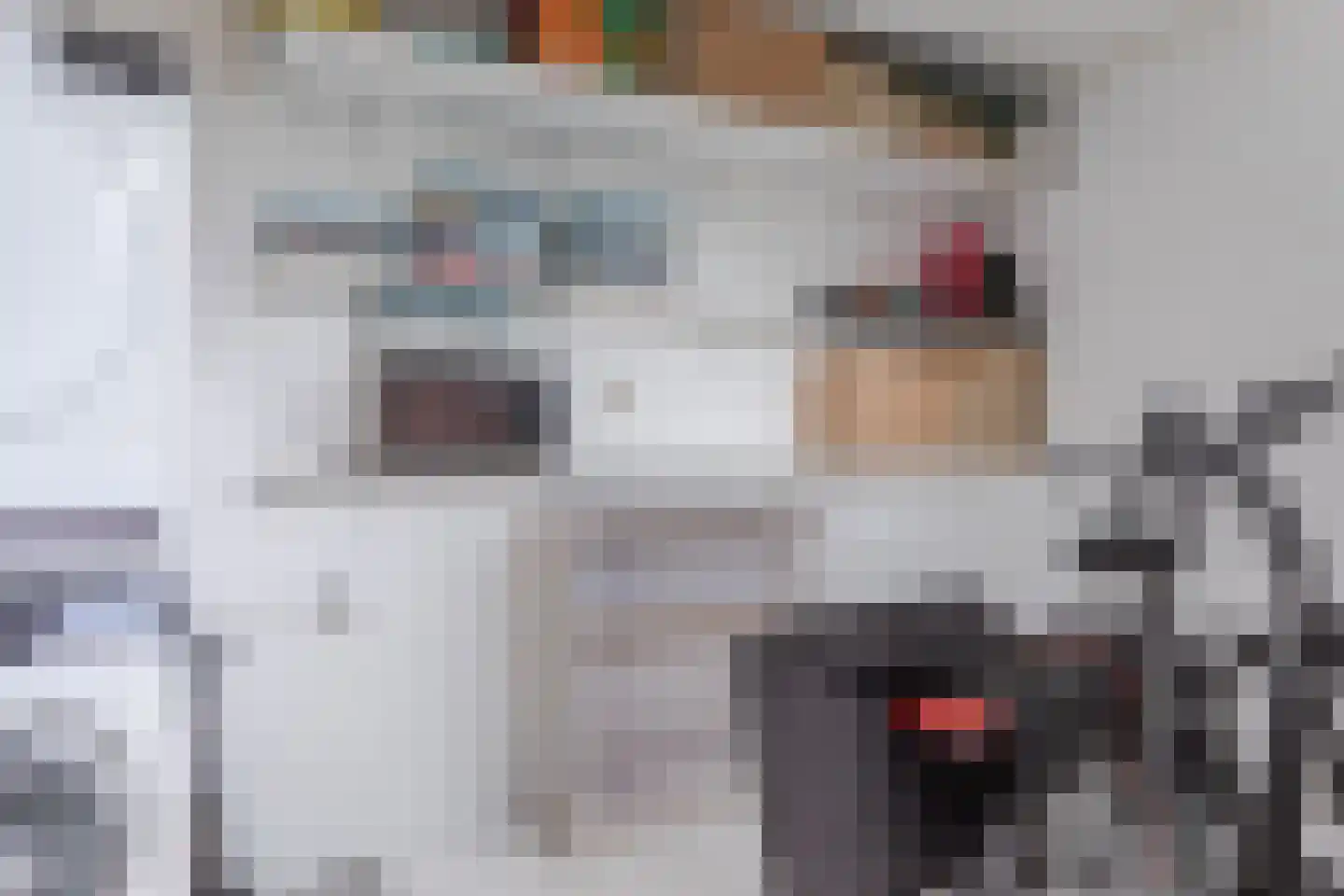 Paltrokmolen 40 Edam thumbnail 41