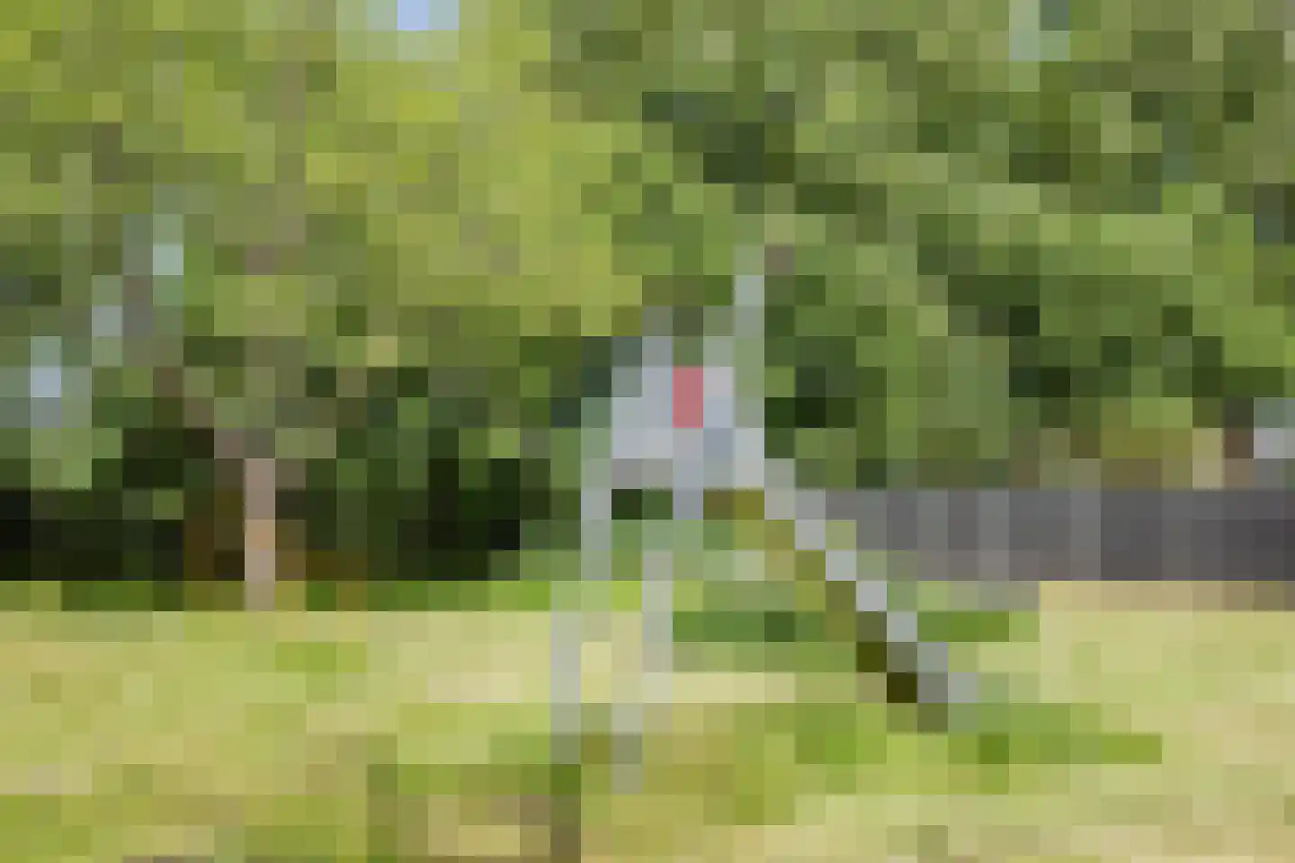 Paltrokmolen 40 Edam thumbnail 44