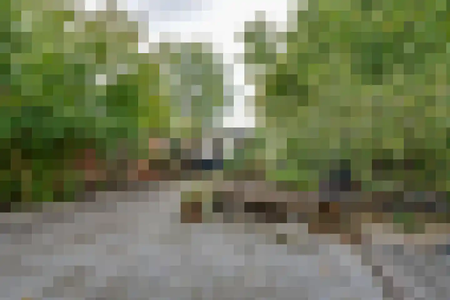 Paltrokmolen 41 Purmerend thumbnail 21