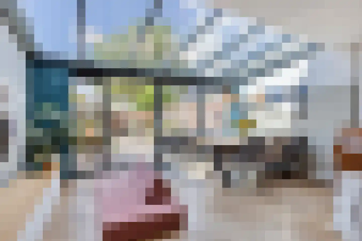 Paltrokmolen 44 Alphen aan den Rijn thumbnail 10