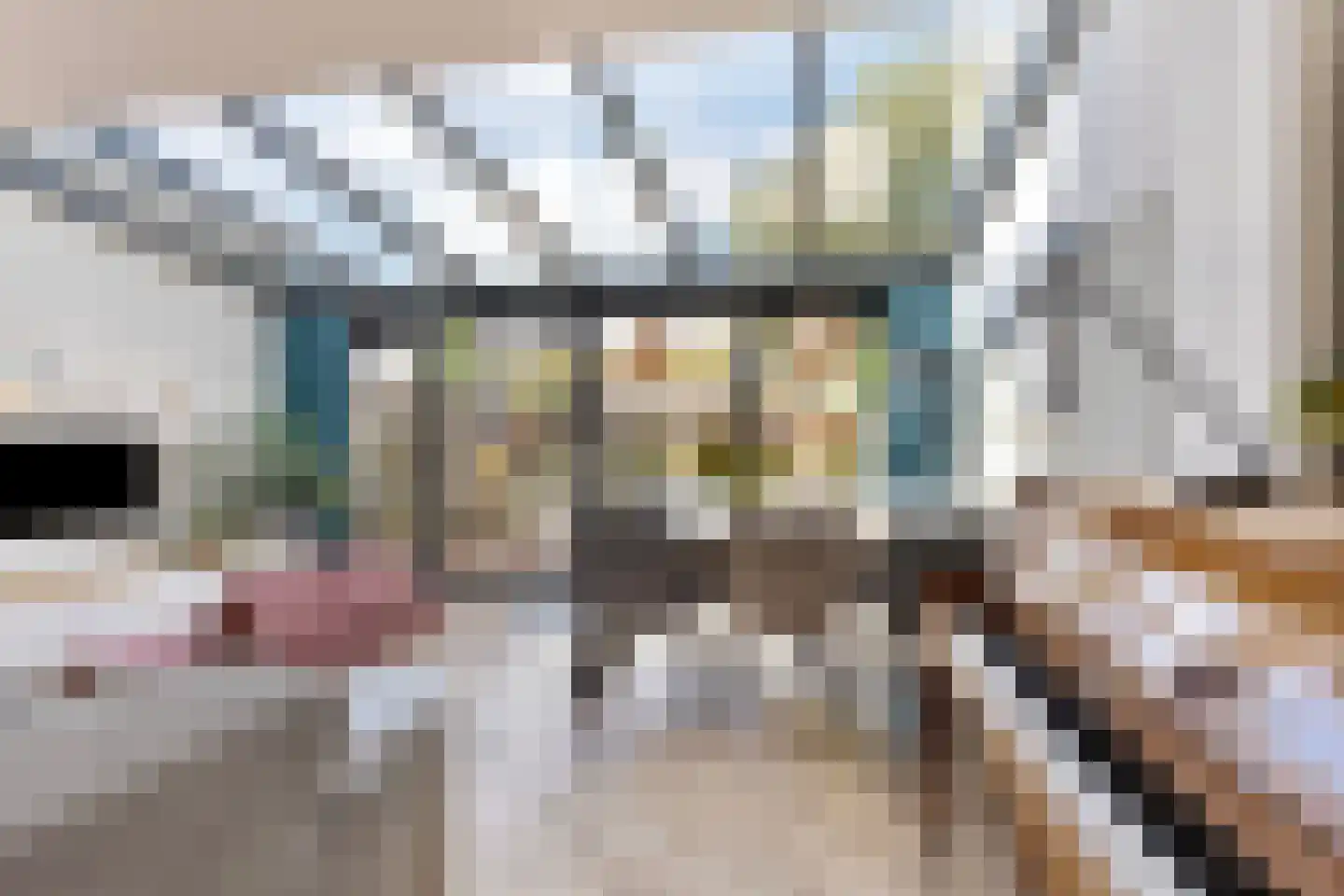 Paltrokmolen 44 Alphen aan den Rijn thumbnail 9