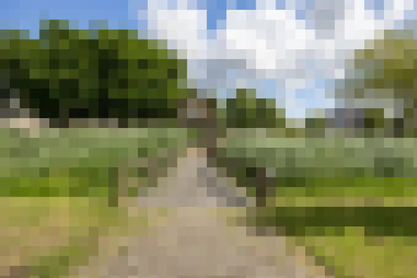 Paltrokmolen 49 Alphen aan den Rijn thumbnail 30