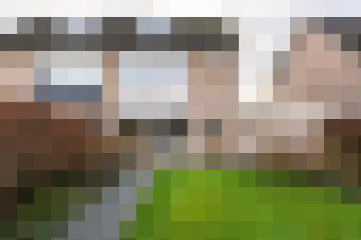 Paltrokmolen 5 Harmelen thumbnail 29
