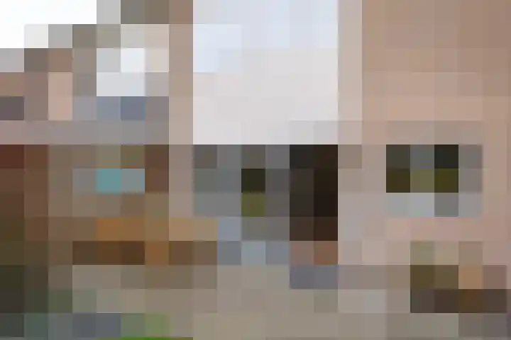 Paltrokmolen 5 Harmelen thumbnail 31