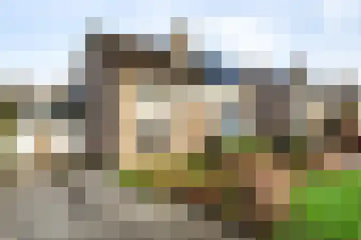 Paltrokmolen 5 Harmelen thumbnail 33