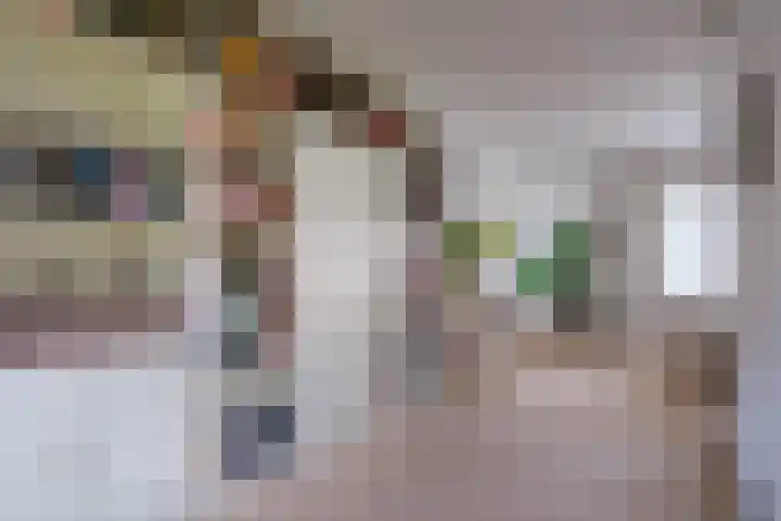 Paltrokmolen 5 Harmelen thumbnail 8