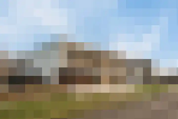 Paltrokmolen 51 Numansdorp thumbnail 5
