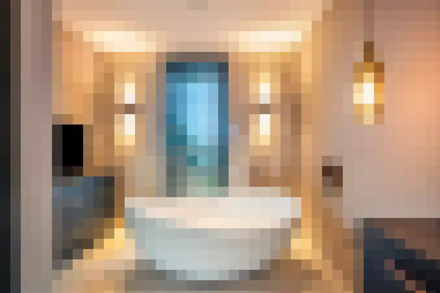 Paltrokmolen 51 Numansdorp thumbnail 64