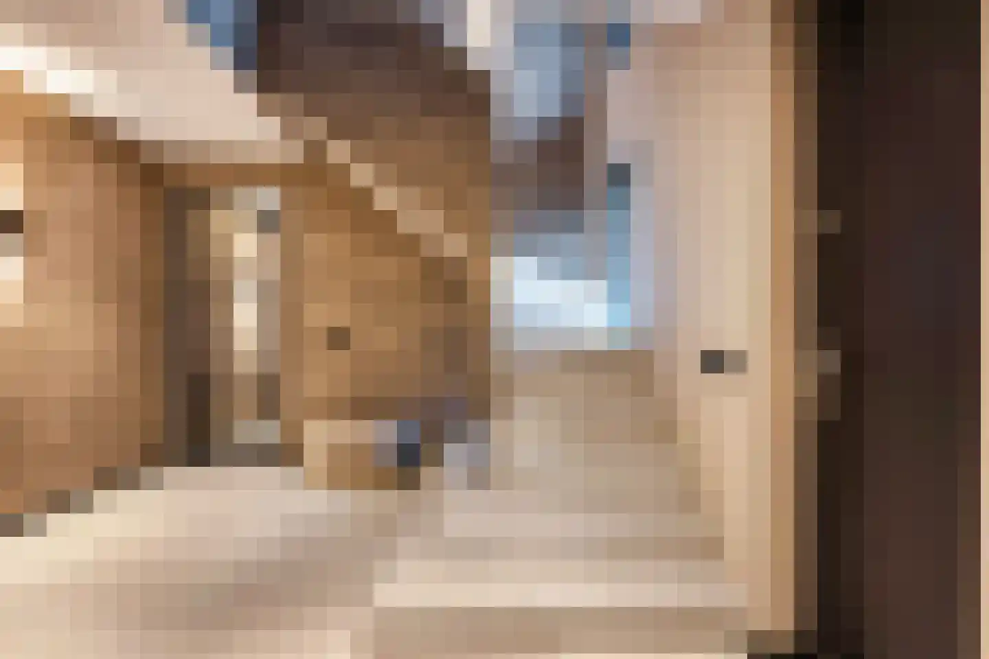 Paltrokmolen 51 Numansdorp thumbnail 8