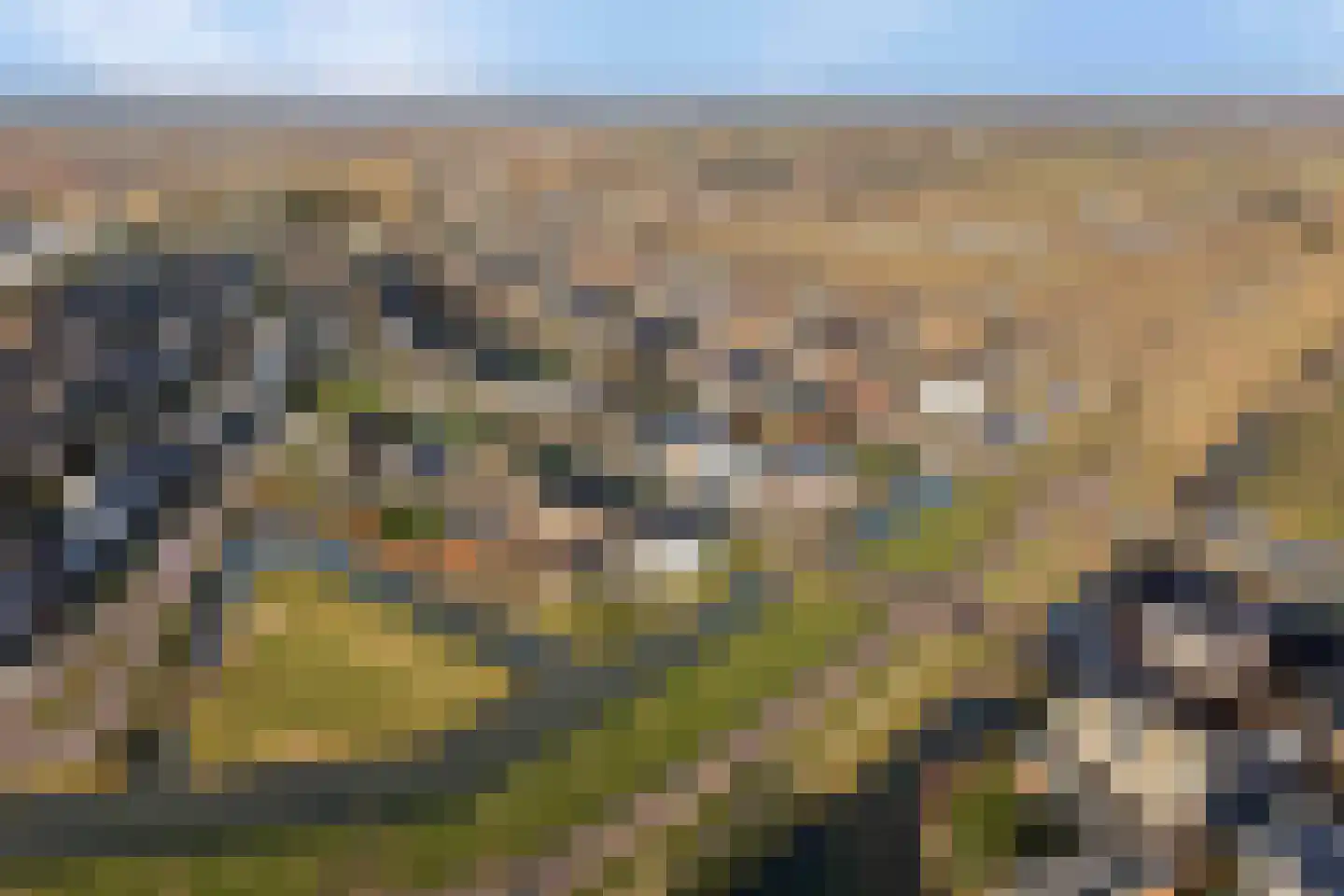 Paltrokmolen 51 Numansdorp thumbnail 87